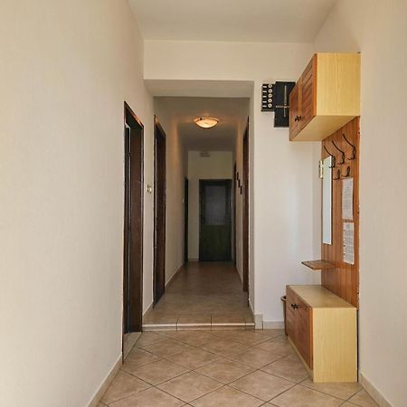 Apartament Stelia F. Novigrad  Zewnętrze zdjęcie
